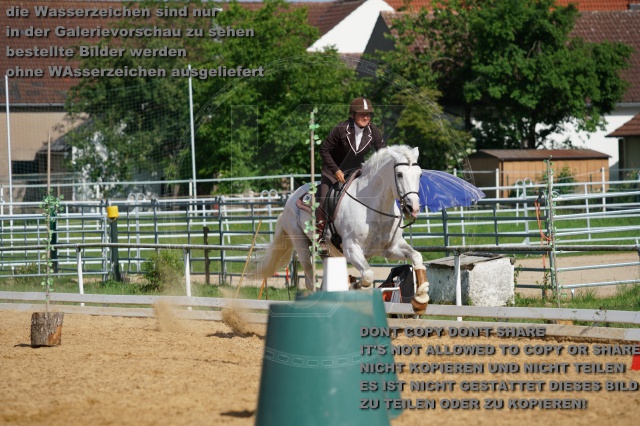 s_K3F07200.JPG